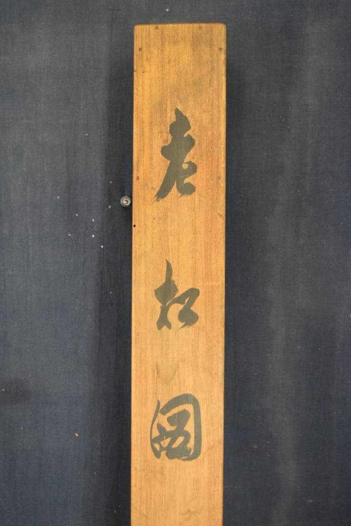 木村光年/老松図/横物/掛軸/名家伝来/AA-932 木村光年/老松図/横物