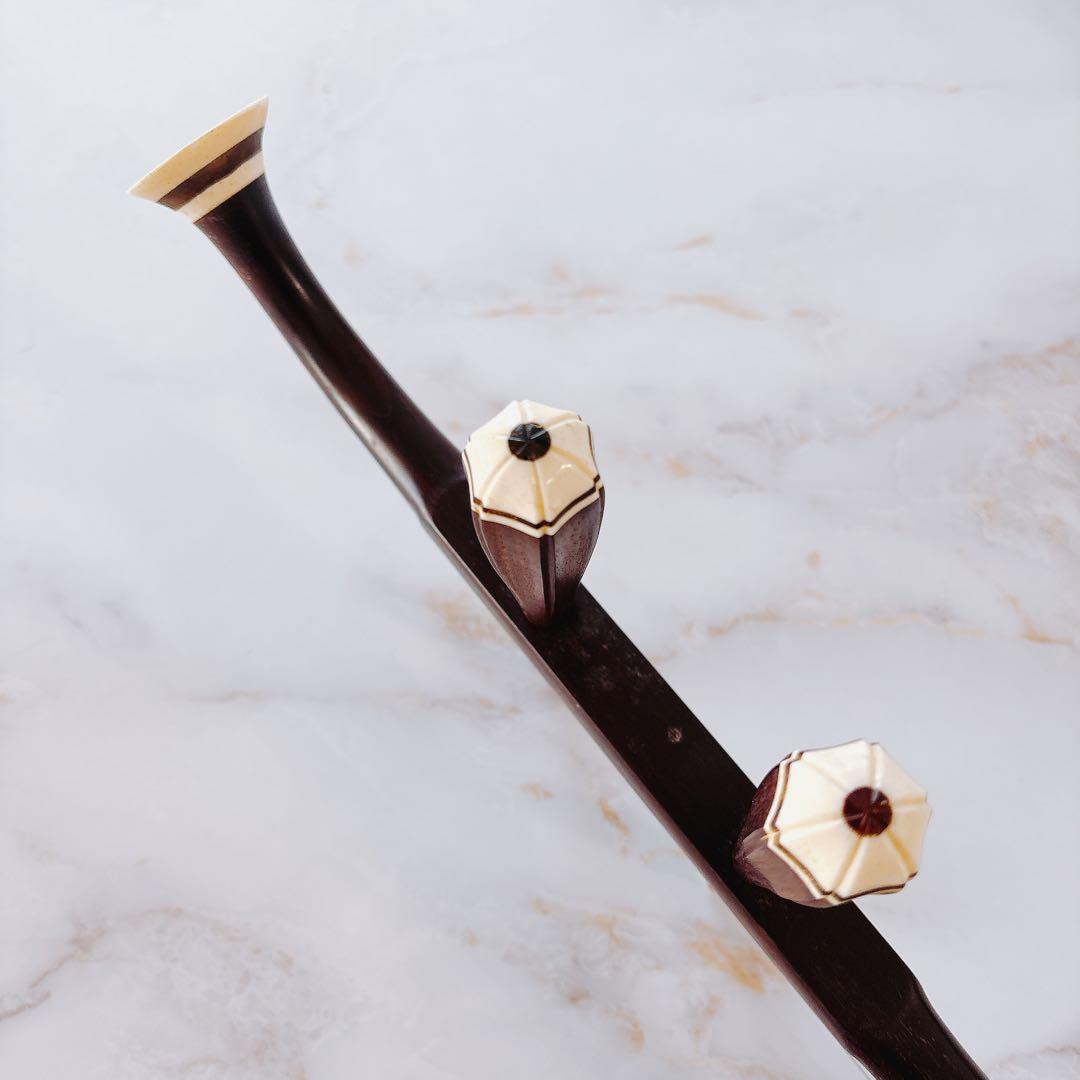 【超訳あり】　二胡　ハードケース付き