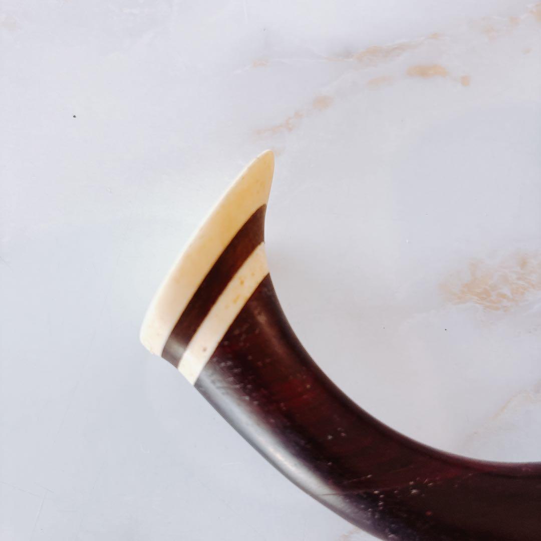 【超訳あり】　二胡　ハードケース付き