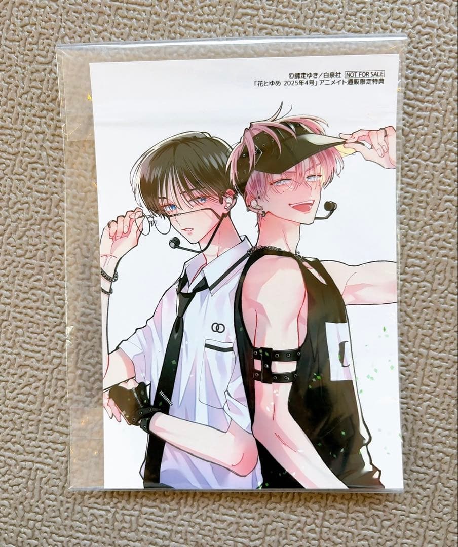 多聞くん今どっち⁉︎ 坂口桜利 福原多聞 花とゆめアニメイト通販特典