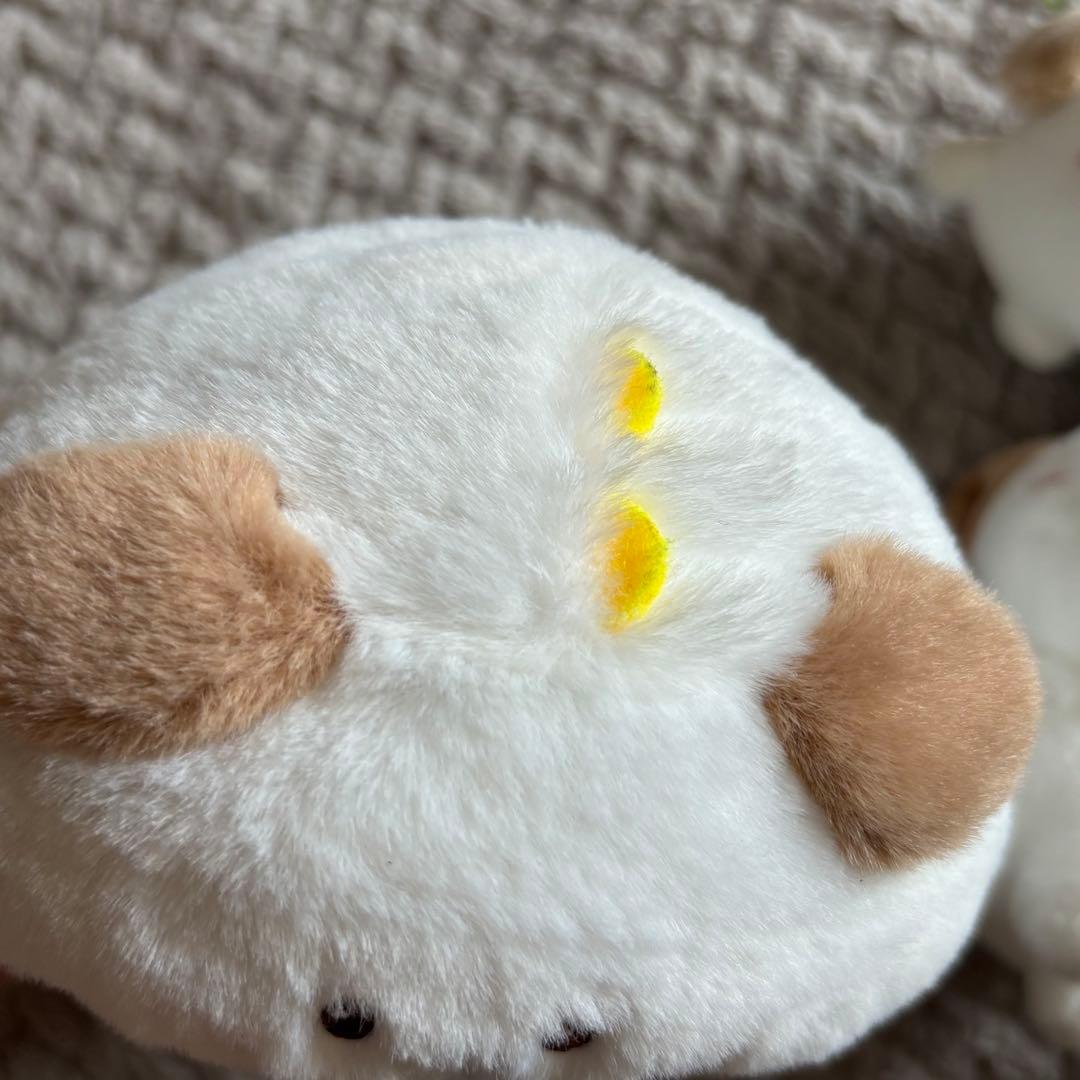 RIIZE ペンライトカバー シュシュ モンリョンイ アントン - メルカリ