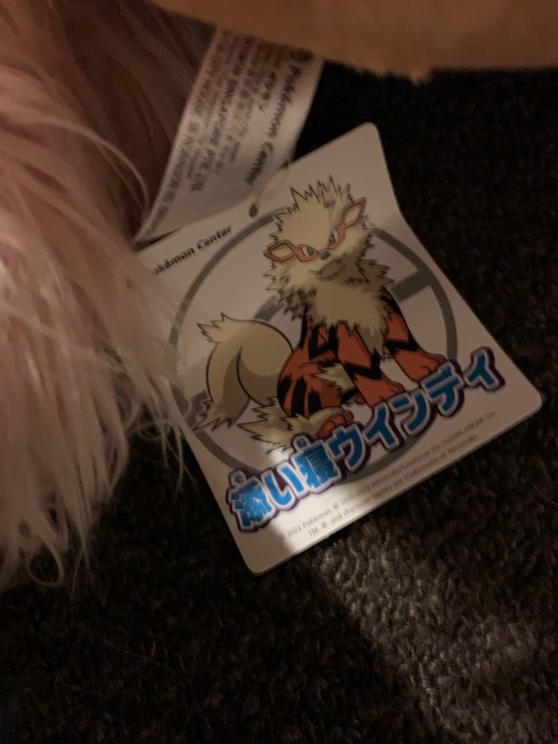 完全受注生産！添い寝ウインディ