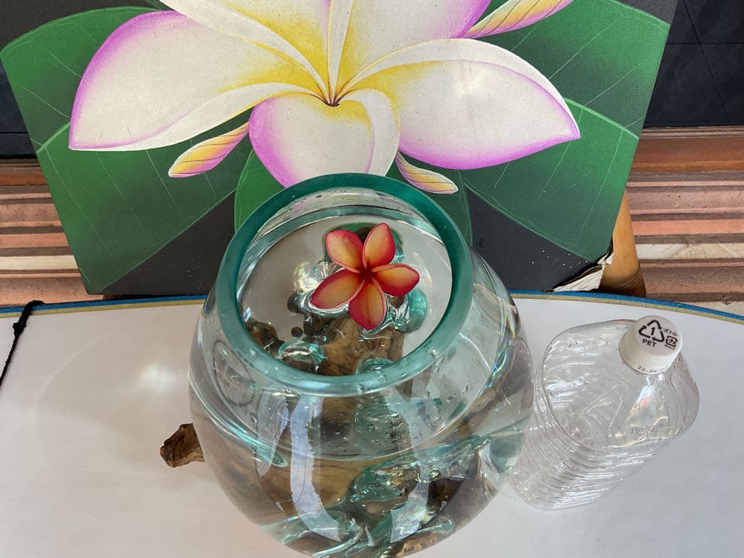 新入荷】フィッシュボール(流木ガラス水槽)L size 魚用品・水草