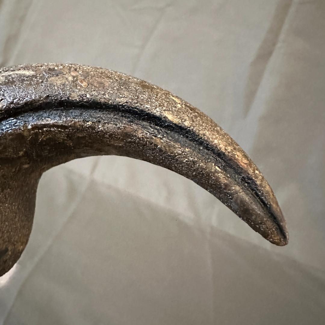 カルカロドントサウルス ハンドクロウ 獣脚類 かぎ爪 化石 肉食恐竜 1402