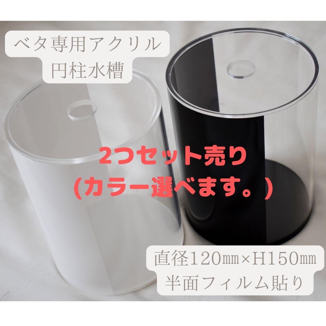 アクリル円柱水槽(ベタ専用)2つセット - メルカリ