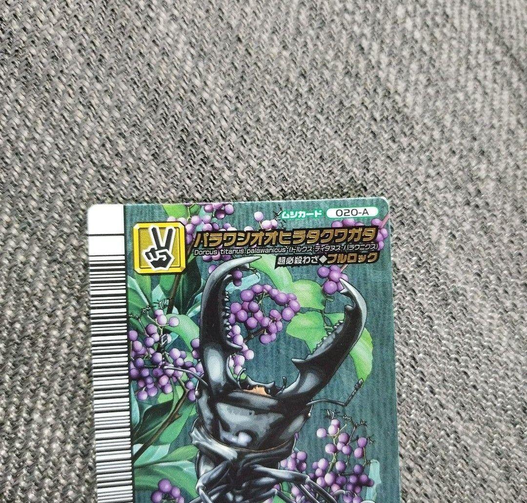 ムシキング5周年 アダーコレクション パラワンオオヒラタクワ