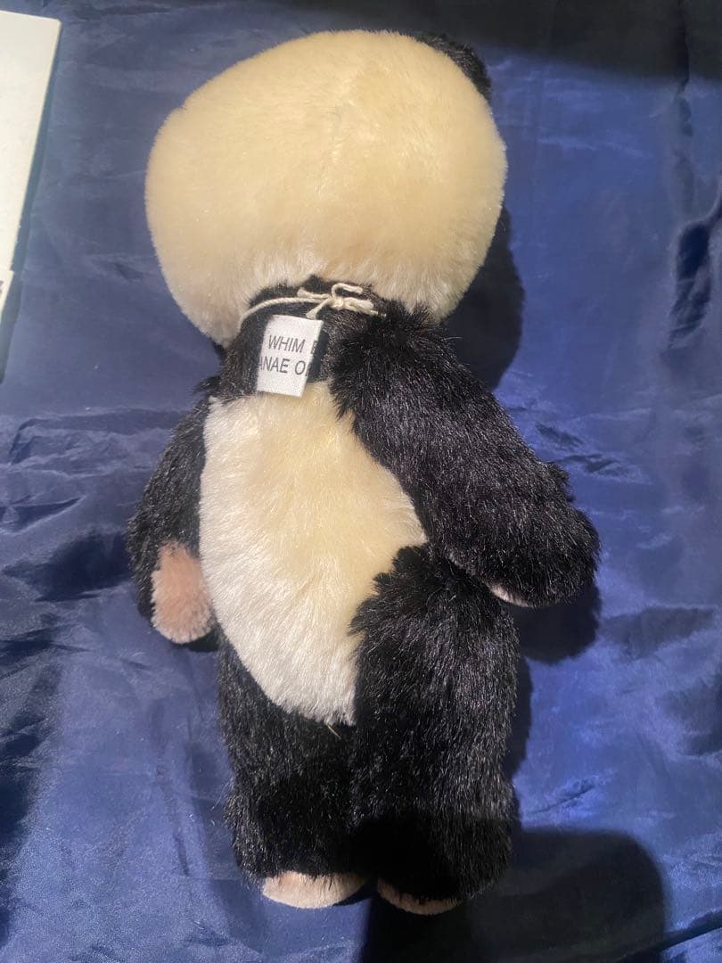 作家　アーティスト　テディベア　whim bear