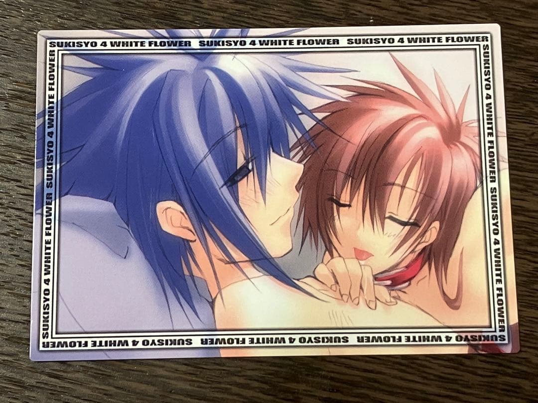 好きなものは好きだからしょうがない！ トレカ 一覧