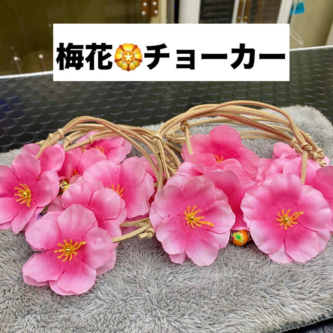 トリミングチョーカー☆春☆梅花チョーカー10本セット - メルカリ