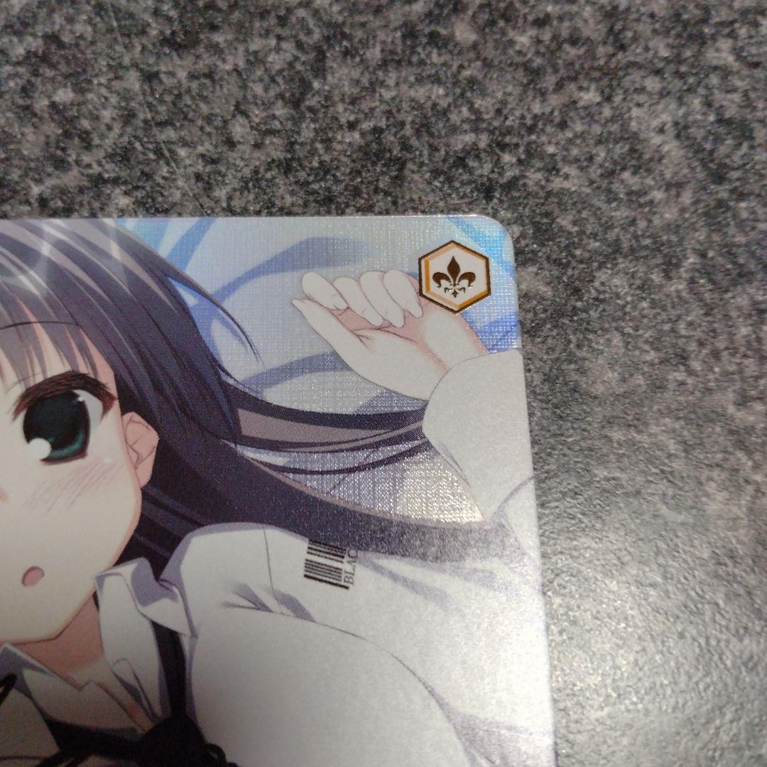 ヴァイスシュヴァルツロゼ　小さくて可愛い姉　夏目藍　PR+