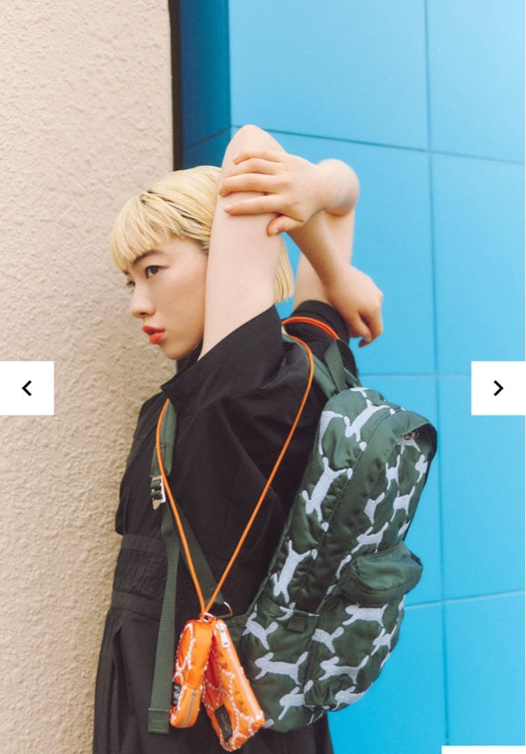 値下げしました⭐︎レア⭐︎ミナペルホネン×PORTER キーケース&ケース