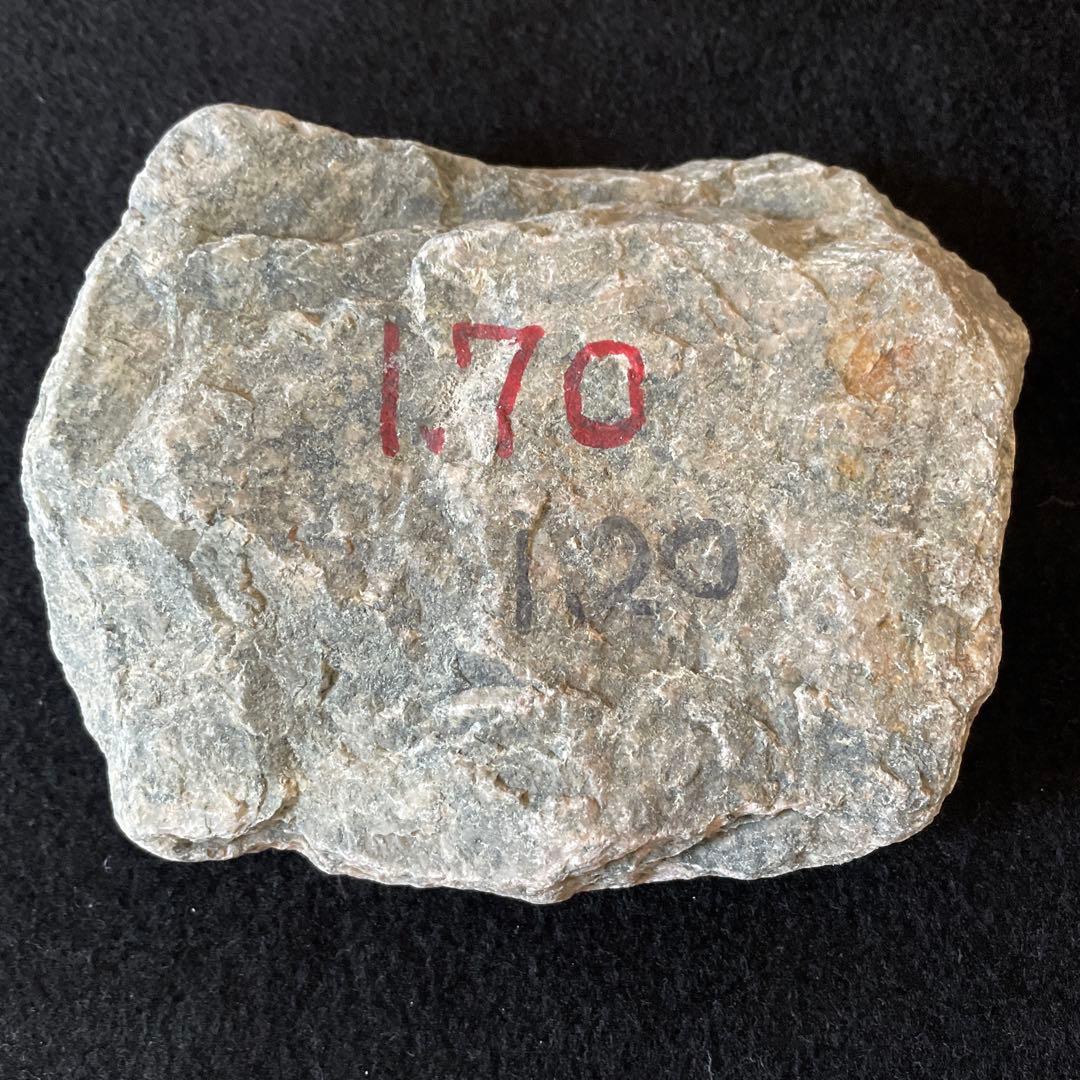 FISH BOYS 直筆サインポストカード TOMOSUKE・佐々木博史