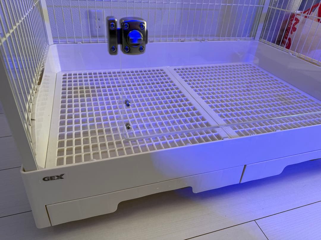 東京都取引 うさぎ飼育セット クリアケージ80cm