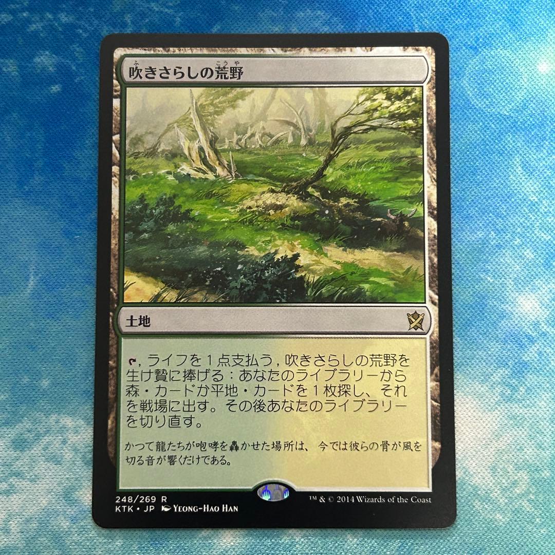 吹きさらしの荒野 4枚セット MTG