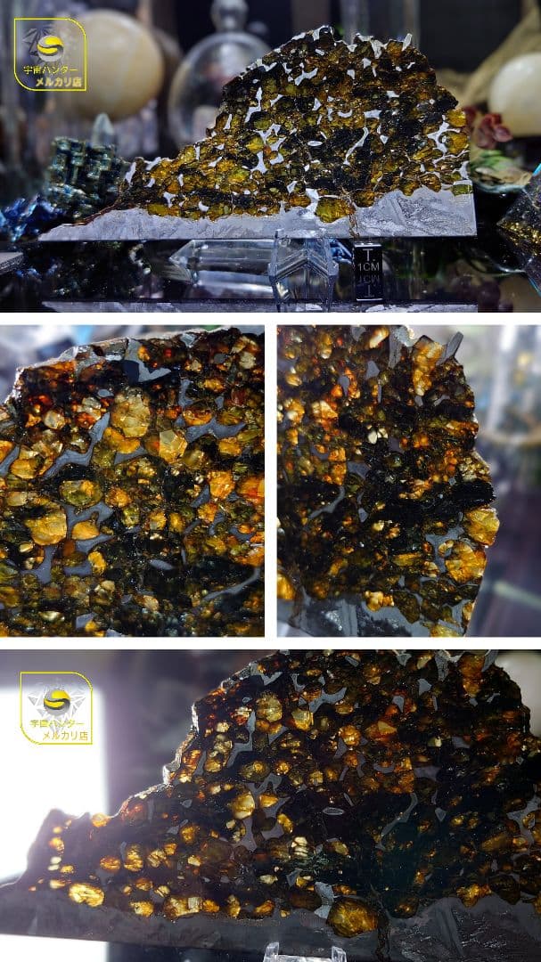 隕石 セイムチャン パラサイト 117.3g ⭐