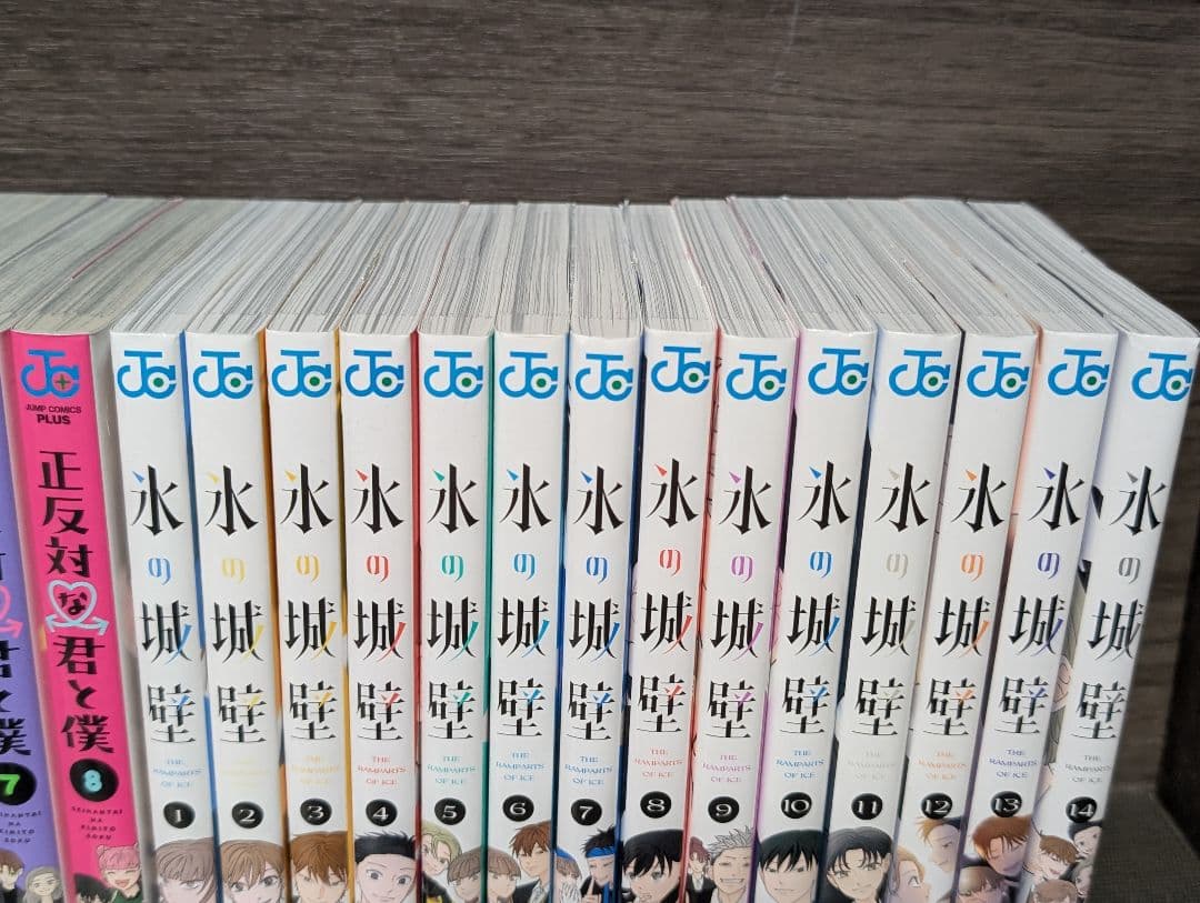 【22冊】 氷の城壁 正反対な君と僕