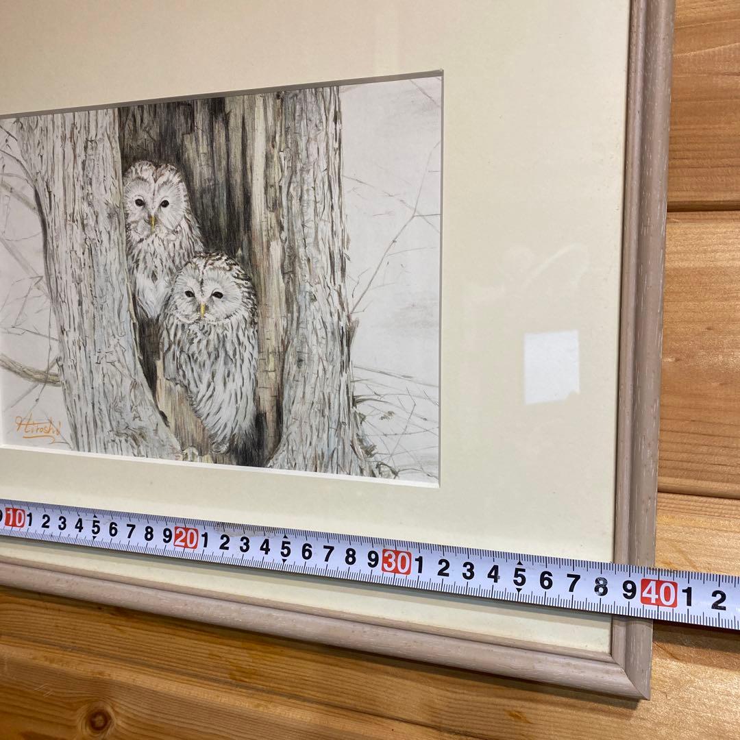 フクロウ(カップル)色鉛筆画