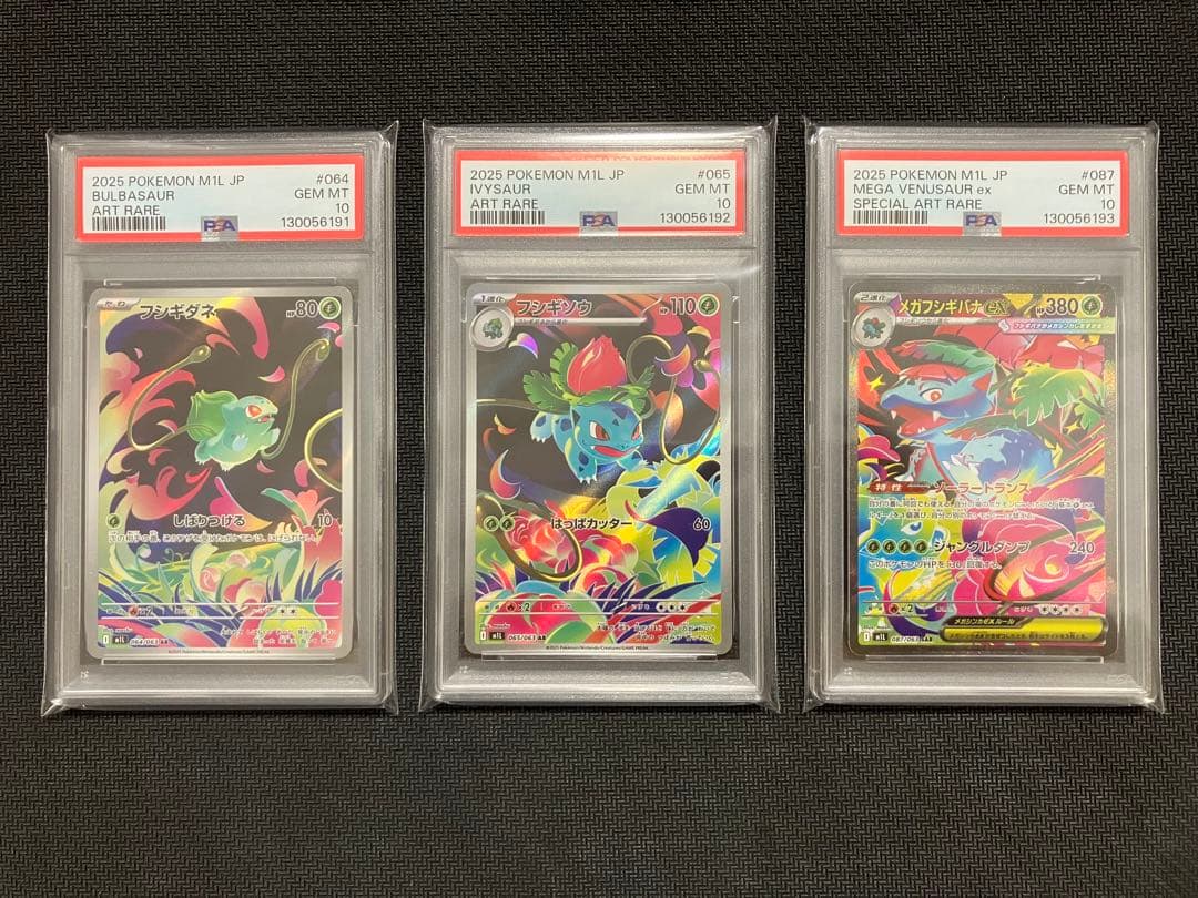 メガフシギバナex SAR PSA10 進化ライン 3連番 メガブレイブ