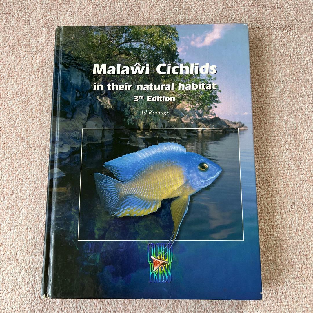 洋書Lake Malawi Cichlids マラウイ シクリッド