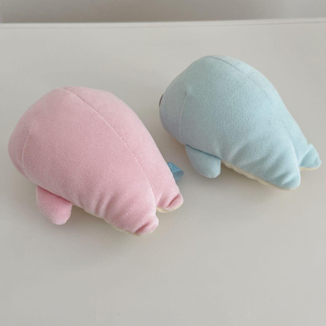 激レア！ ベビー まめゴマ♡