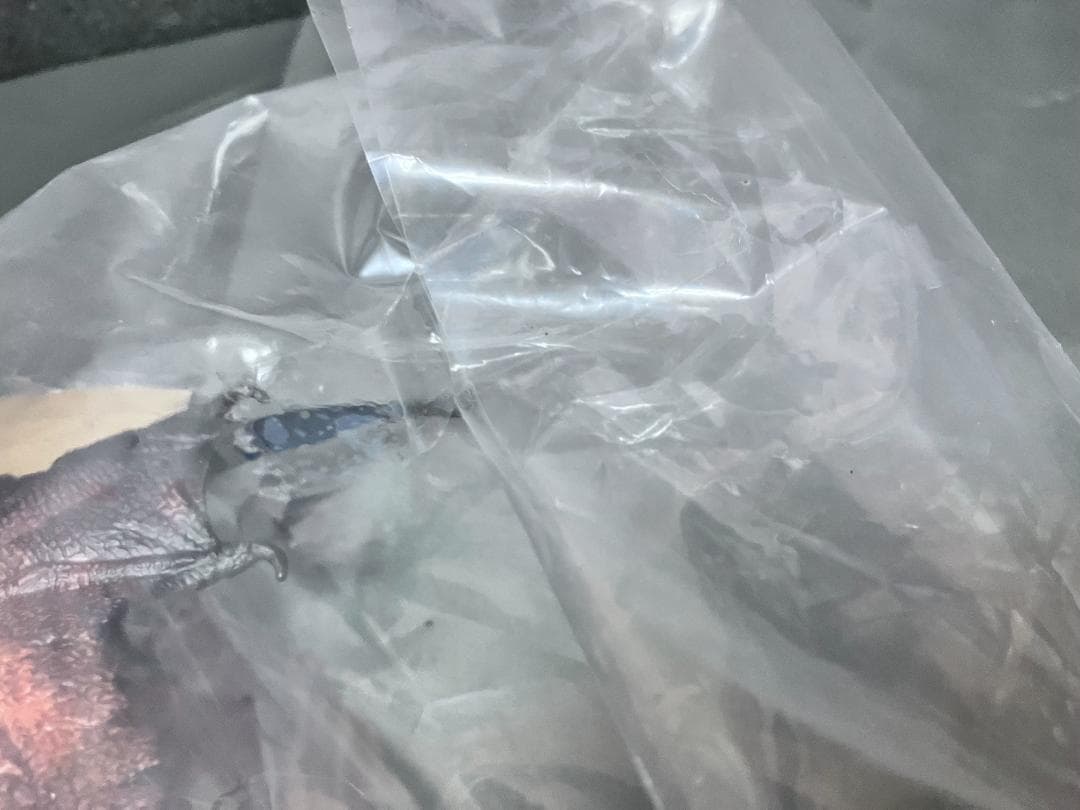 パポ 新品未開封『ドラゴン』フル可動 ファンタジーモンスターアクションフィギュア