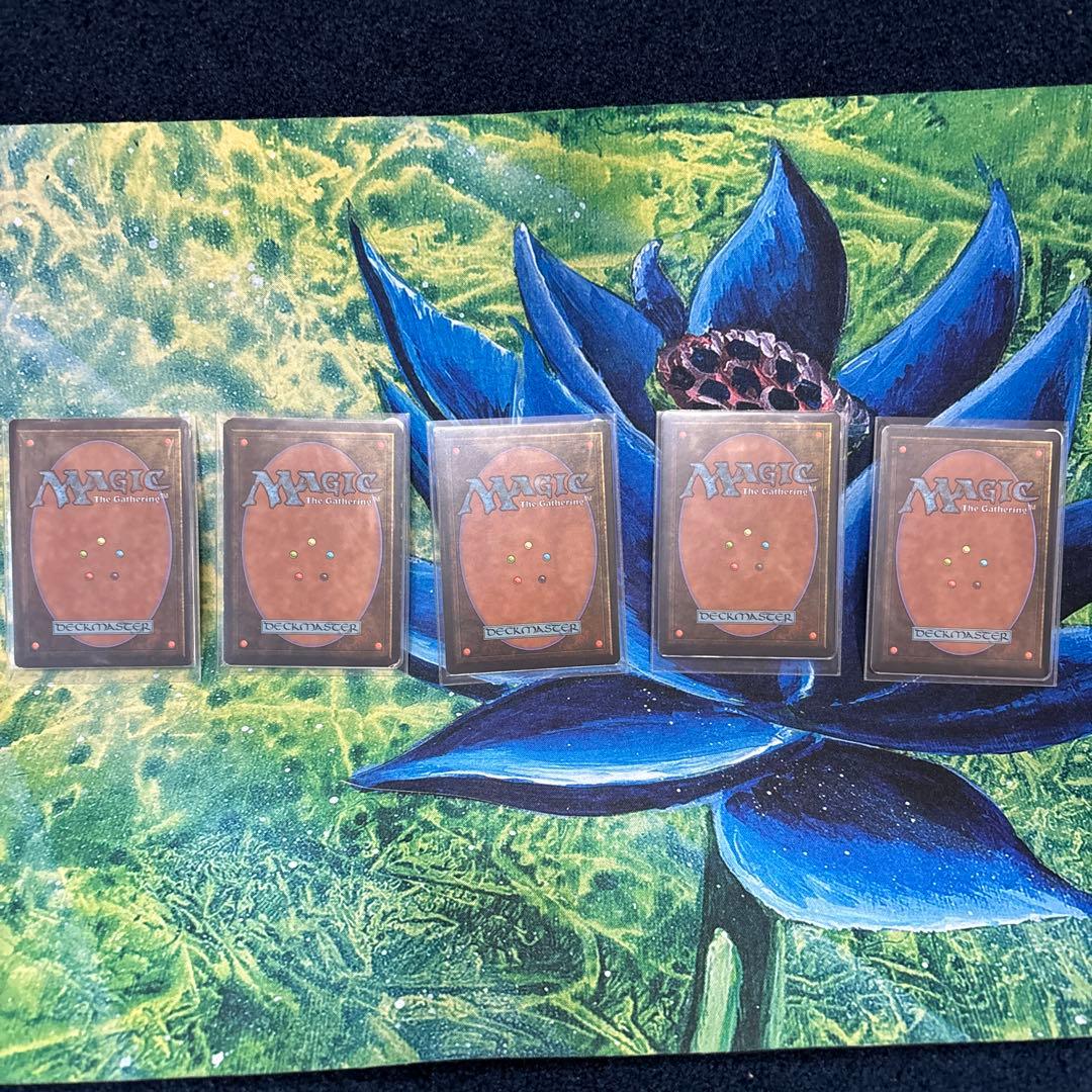 (5枚)沼　C MTG LEB ベータ　β [LEB] 基本土地