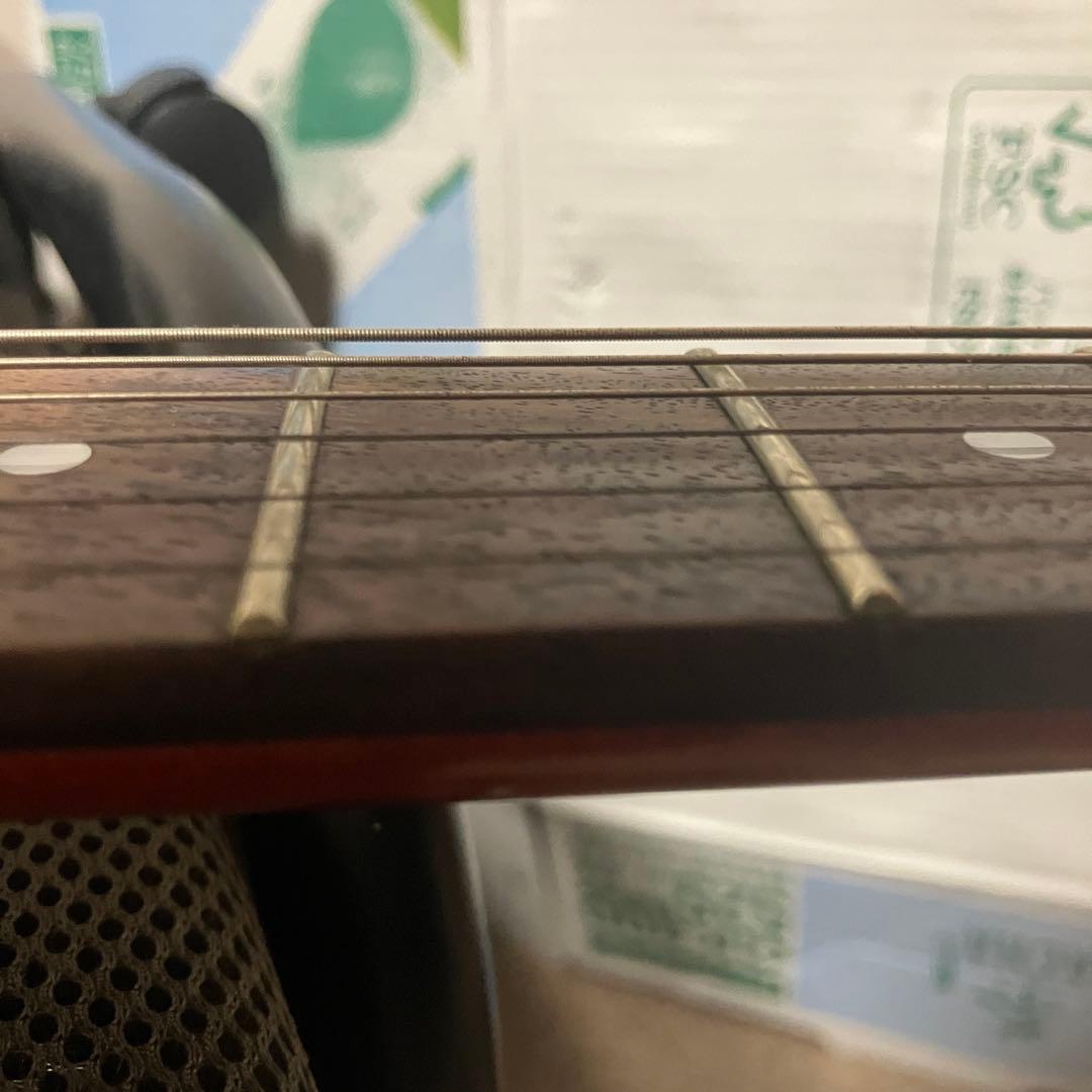 Washburn N1 Nunoモデル