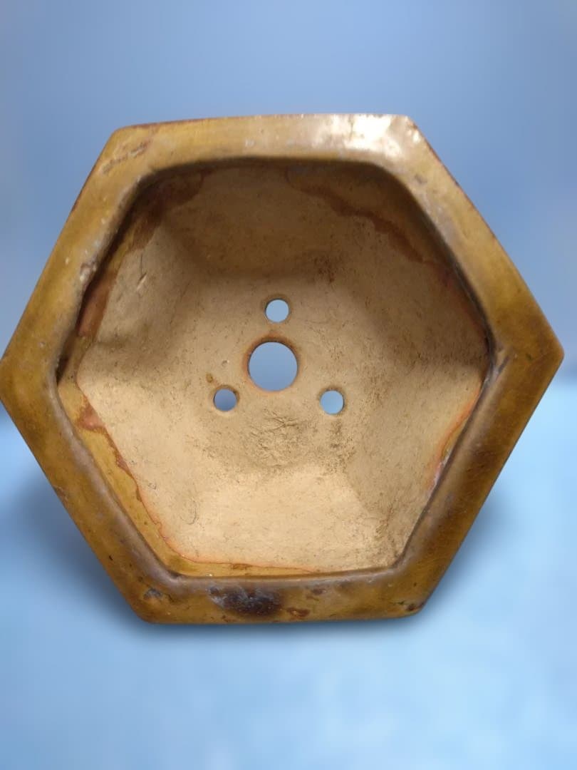 装飾的な六角形陶器器、年代物盆栽鉢 六角形 盆栽鉢 植木鉢