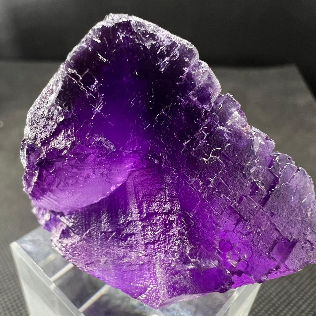 イリノイ州 フローライト | 鉱物標本,ハ行,フローライト/蛍石,フロー