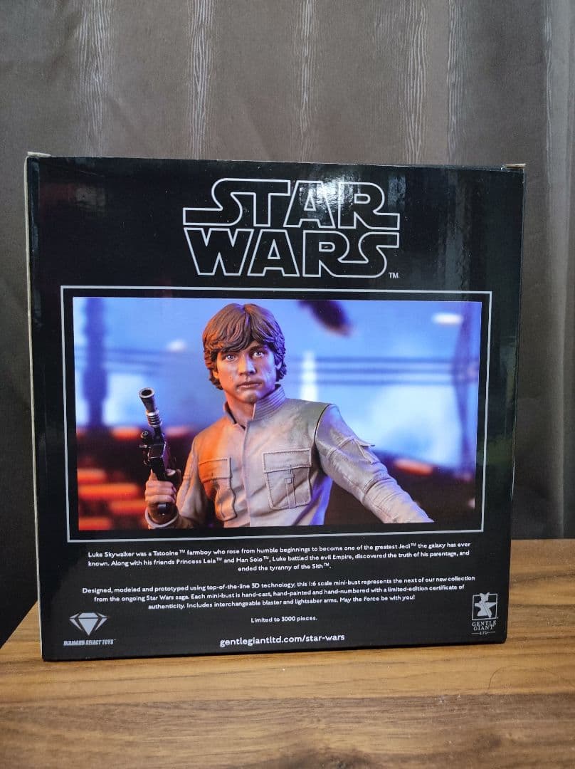 ジェントルジャイアント スターウォーズ ルーク ベスピン ミニバスト 新品未開封