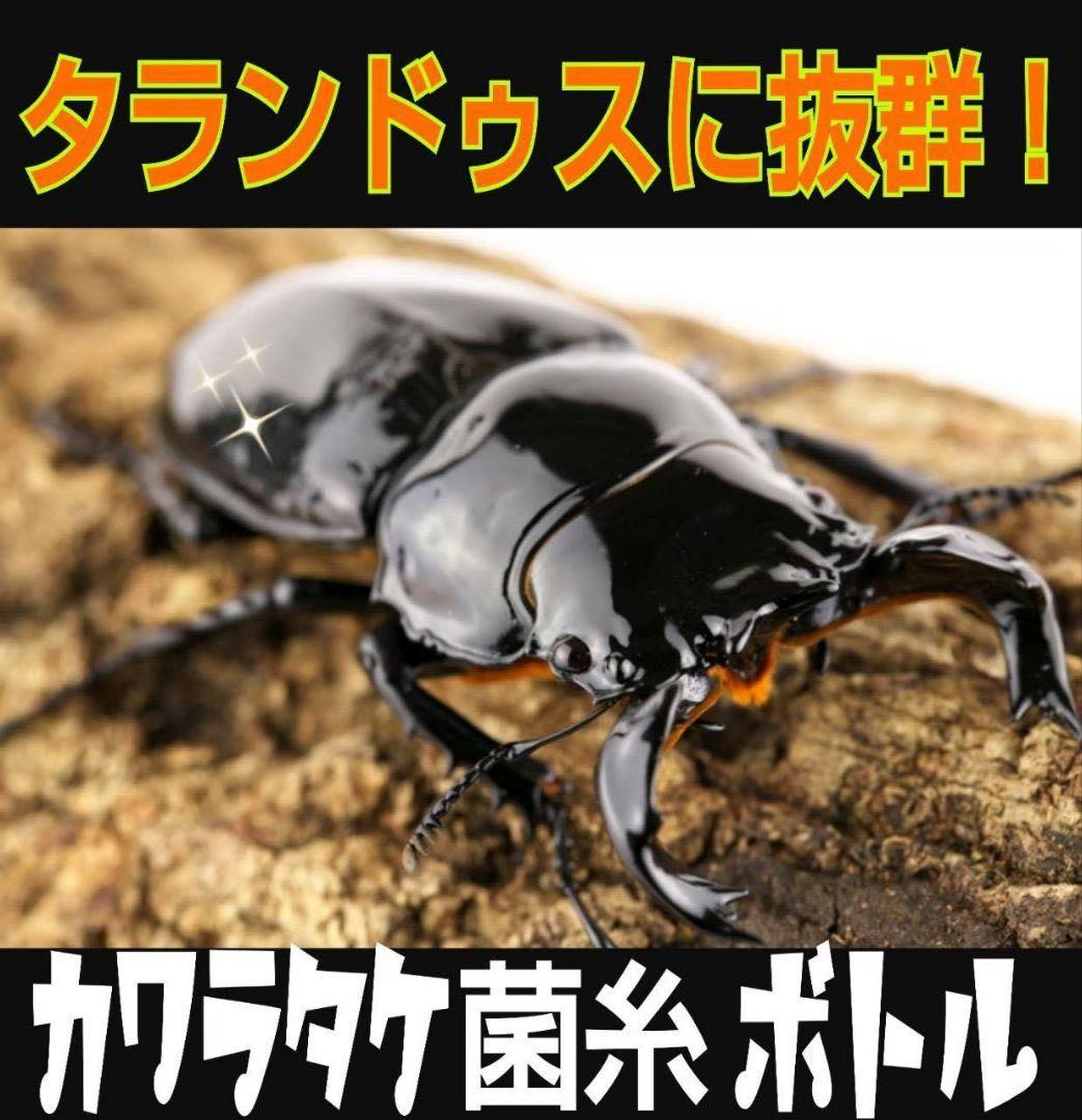 極上！カワラタケ菌糸瓶【9本】特殊アミノ酸強化配合！クワガタ幼虫