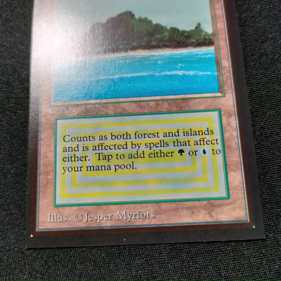 MTG 金枠 Tropical  CE トロピカルアイランド