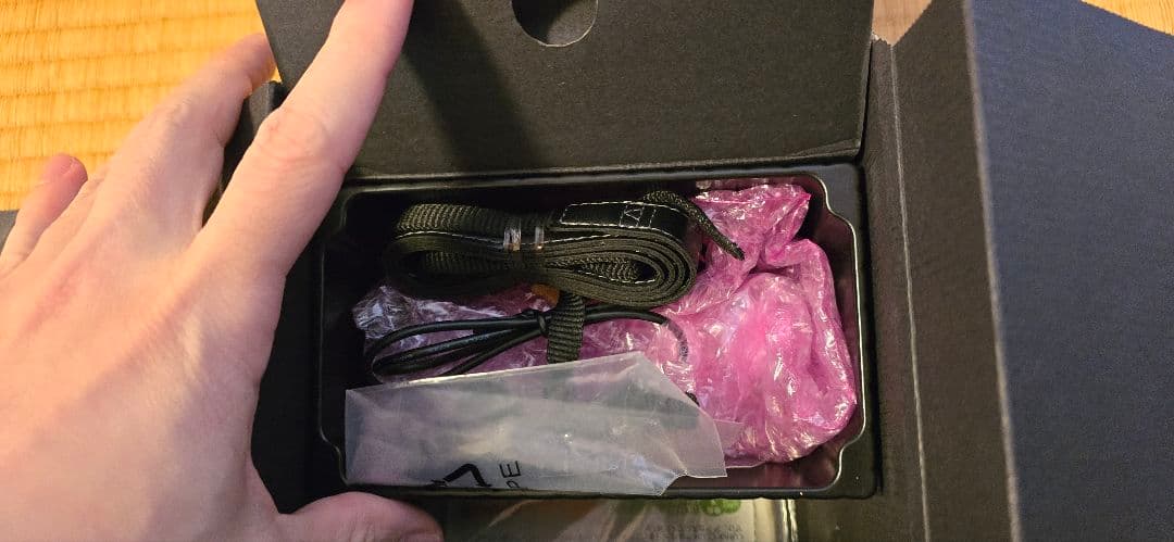 Panasonic LX100 ブラック｜バッテリー2個・充電器2個・ケース付 カメラ