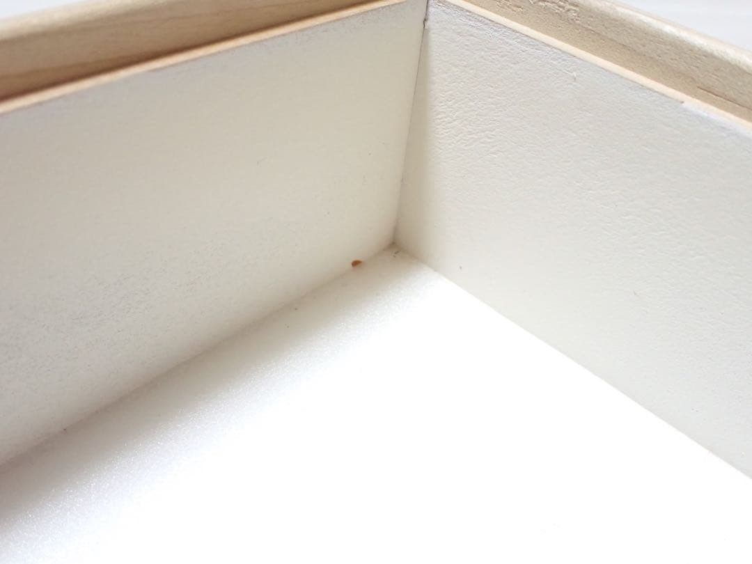 バードウィング製？ ドイツ箱 (幅50.7×奥行き41.8×高さ8cm)