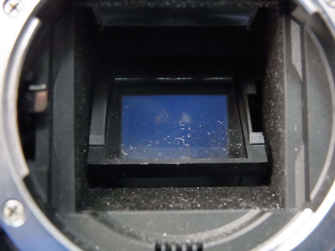 3290 Nikon D5300 ボディ ジャンク 撮影できます NIKON ニコンNikon