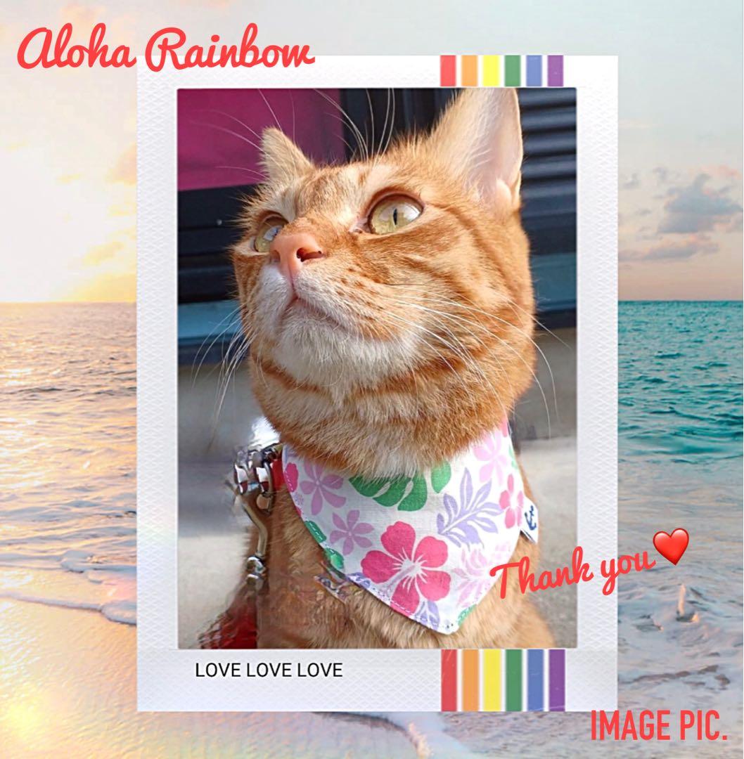 No.2909☘️ 犬猫用 リバーシブル バンダナ XSサイズ ハワイアン