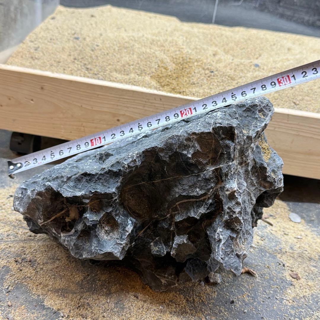 MSS-7269 酸処理青龍石親石 28cm 龍王石 竜王石 アクアリウム - メルカリ