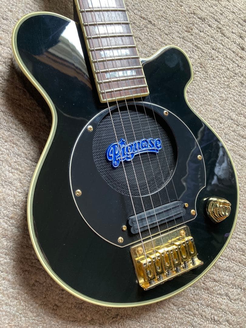 Pignose ブラック×ゴールド エレキギター専用ソフトケース有