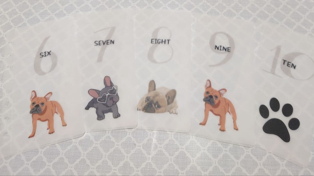 maruko.　30DaysSavingChallengeリフィル2セット