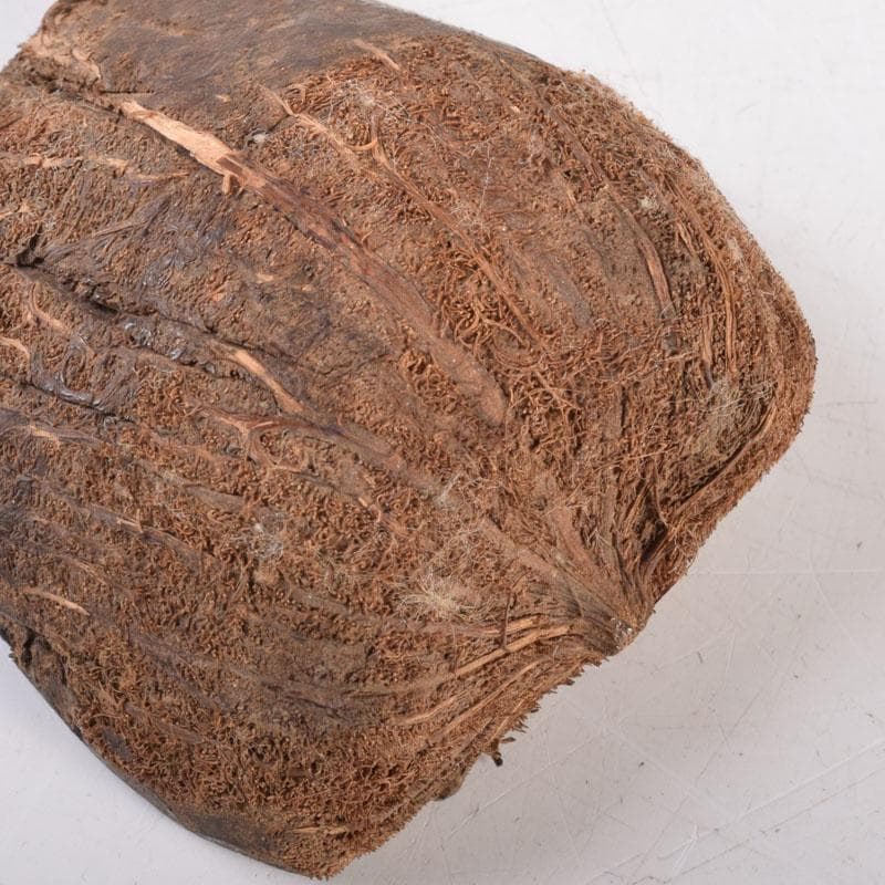 茶道具　木彫　桜　内金溜　香合　時代箱　V　8355