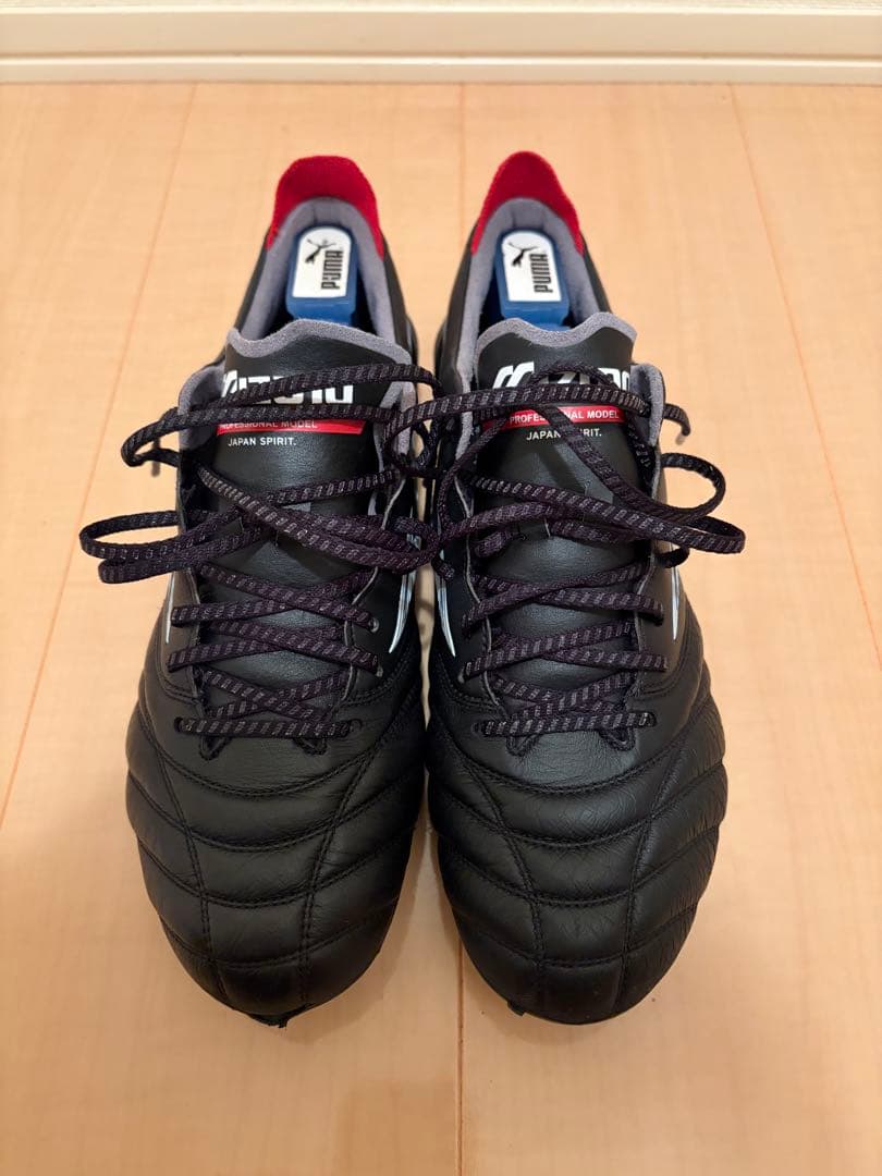 片寄涼太ジェ猫➕リストバンド付き