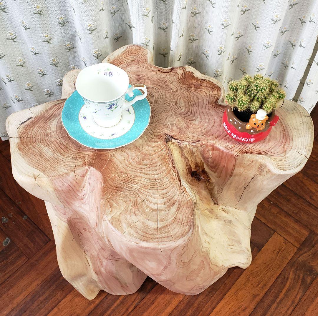 貝塚伊吹希少サイズ丸太