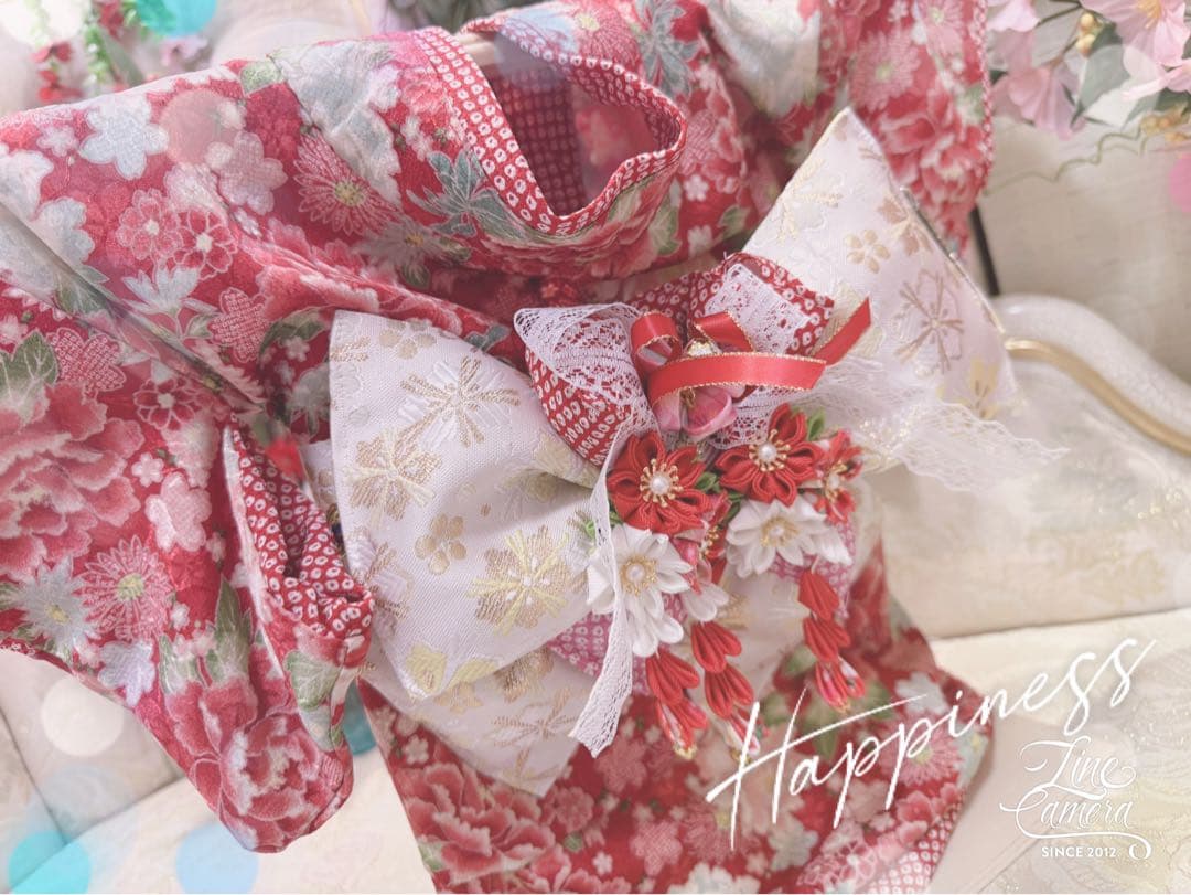 B419.pon2pan2☆オーダー☆犬着物☆犬2ウェイ着物☆犬お引き摺り