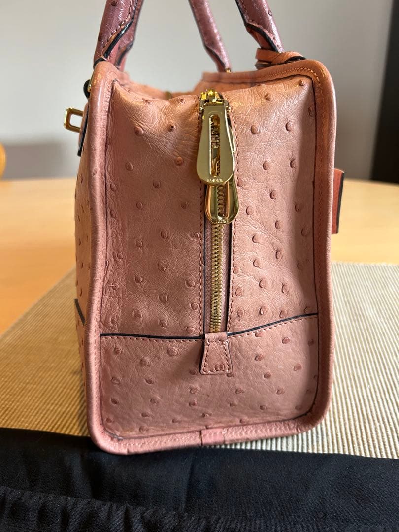 希少　美品　オーダー品　ロエベ　アマソナ36 オーストリッチ　定価200万