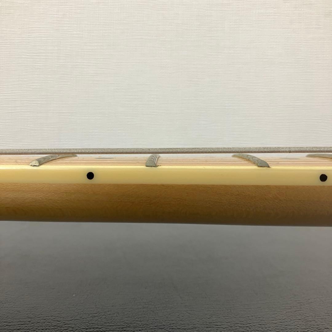 ソフトケース付き　SX テレキャス シンライン