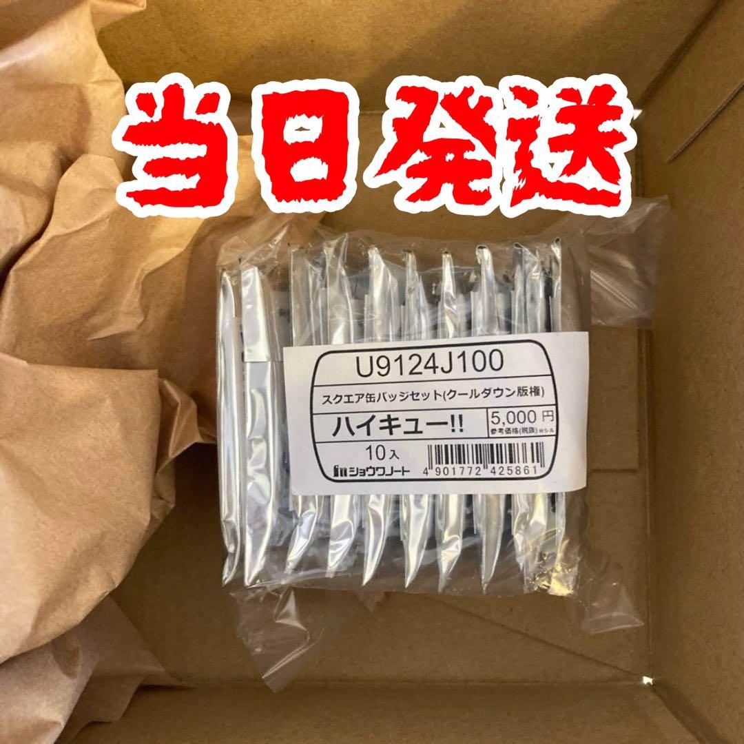 ハイキュー！！缶バッジ【セット】(クールダウン)＜セブンネット限定＞