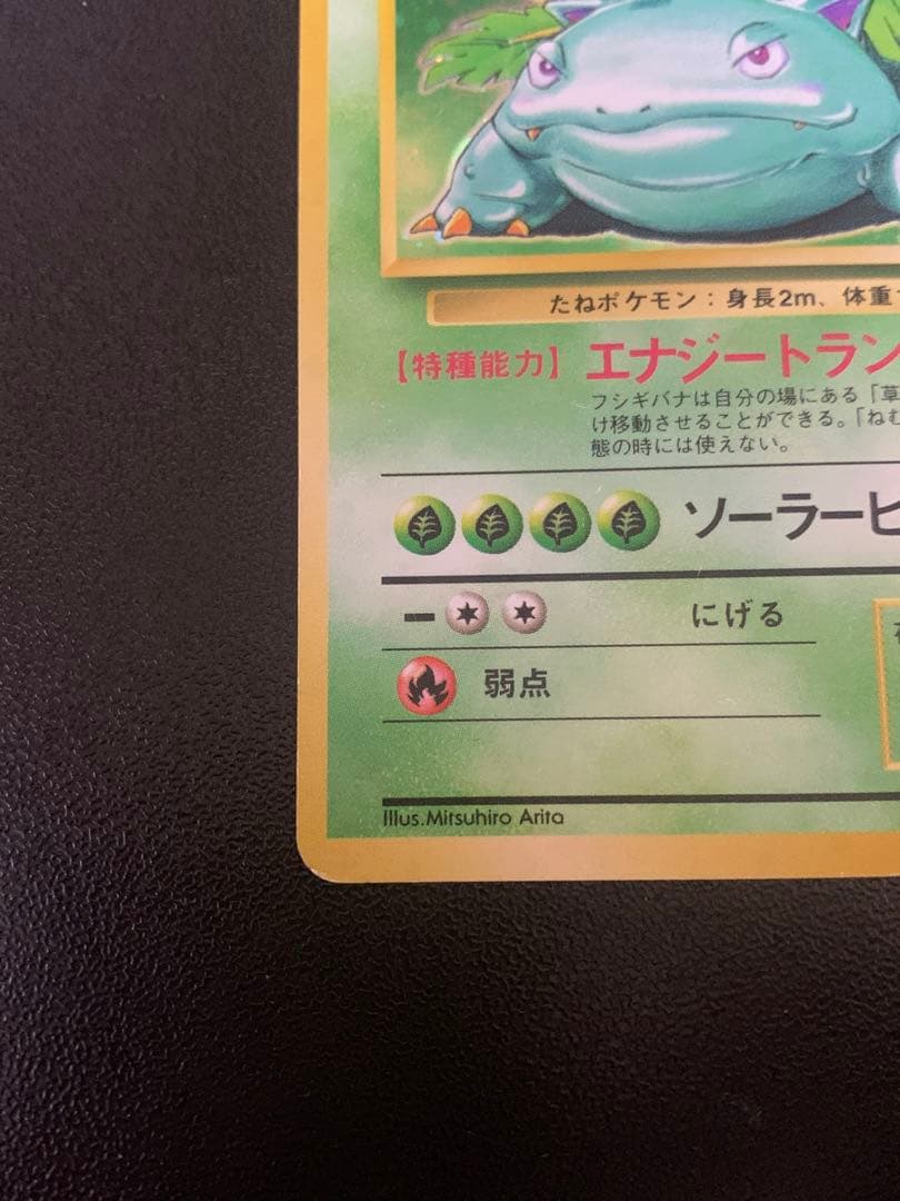 フシギバナ 初版　エラー版　マーク無し　Venusaur 旧裏　渦巻き