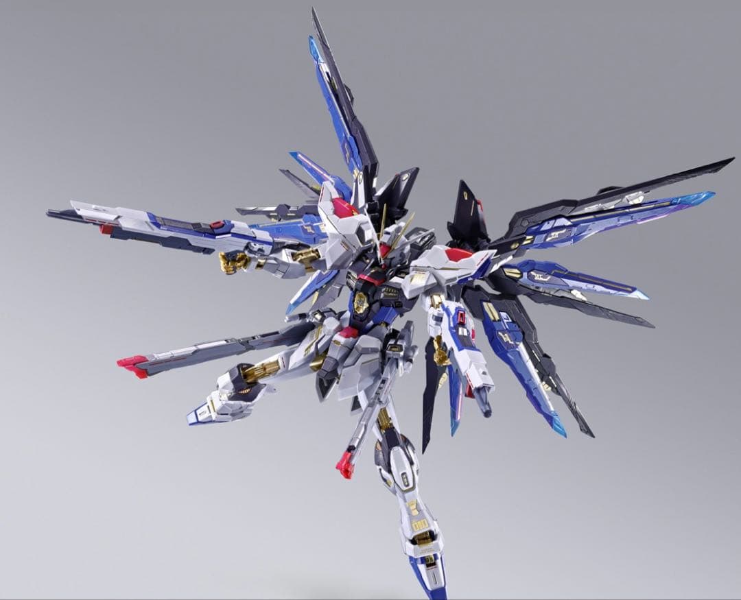 ストライクフリーダム デスティニー　光の翼 セット