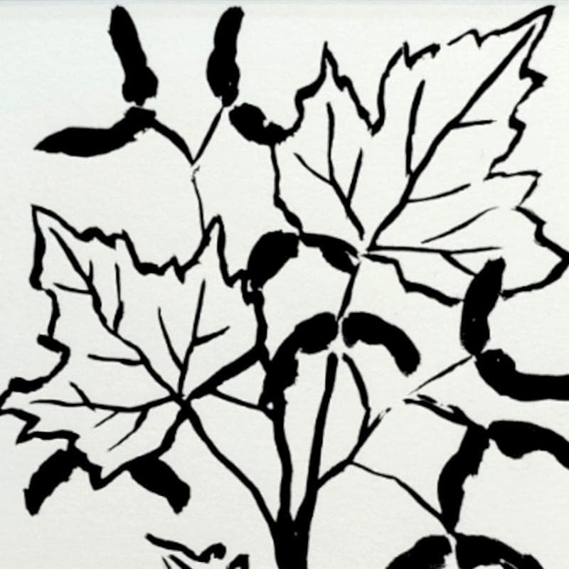 ☆坂本直行☆「カエデ」筆書き　八ツサイズ　未使用！