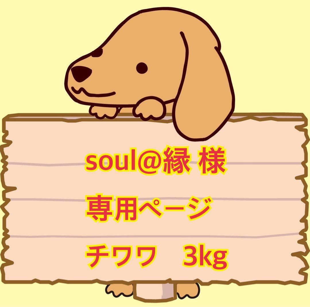 小型犬4輪歩行器　犬用車椅子　介護用　顎のせ枕付き　手押し棒 小型犬4輪歩行器犬用車椅子介護用顎のせ枕付き